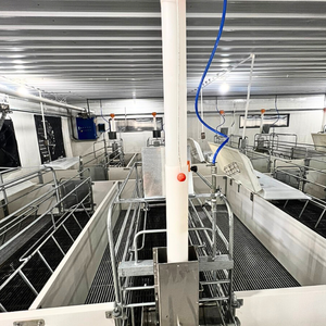 Caisses de mise bas pour porcs Stylo de mise bas de porcherie de bonne qualité à bas prix en acier inoxydable du fabricant vietnamien Top vente - Product Image 4