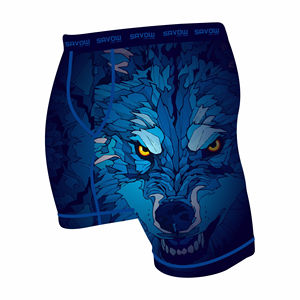 Shorts de grappling MMA imprimés par sublimation pour hommes, vêtements d'arts martiaux, shorts de boxe, shorts MMA - Product Image 2