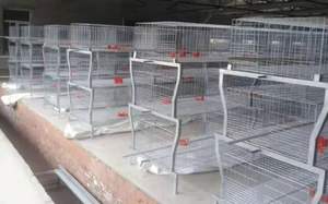 Hot Sale Zhongnuo ZN3-96 3-Tier Type 4-Accurate Iron Steel <b>Chicken</b> Layer Type <b>Cage</b> Long Service Life New Condition Poultry - Product Image 3