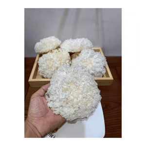 Champignons de neige séchés Champignons Tremella entiers séchés pour les soupes à mijoter lentement, les desserts et la restauration, origine Vietnam - Product Image 2