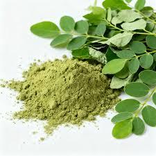 Poudre de feuilles de Moringa naturelle de qualité alimentaire, extrait végétal séché pour une alimentation et une nutrition saines, riche en vitamines - Product Image 6
