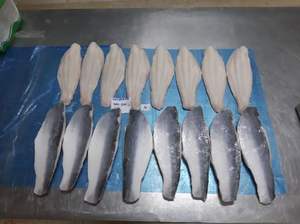 Envasado al vacío congelado IQF Filetes de Pangasius bajos en grasa Producto de pescado de calidad premium - Product Image 6