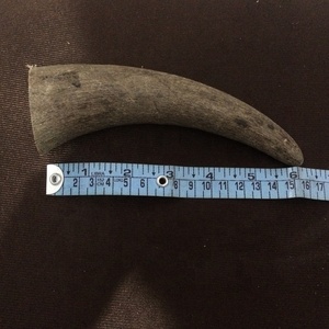 Cuchillo de punta de cuerno de búfalo sólido pulido tallado decoración del hogar estilos religiosos náuticos con estilo animal-artesanías naturales - Product Image 2