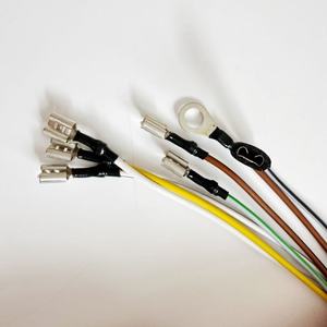 Elektrikli Araçlar İçin Özelleştirilmiş Yüksek Sıcaklığa Dayanıklı PTFE/PVC/Naylon Malzemeli Otomotiv Kablo Demeti Montajı - Product Image 2