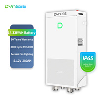 Batterie Dyness Powerbrick Plus 51.2V 314Ah LiFePO4 avec protection IP65, 8000 cycles, système de stockage d'énergie domestique hybride Powerwall