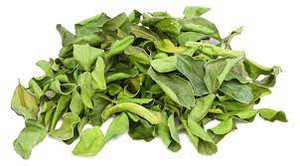 ใบมะนาวอบแห้ง/ใบหอมและมีคุณภาพระดับพรีเมียม/ราคาไม่แพงสำหรับอุตสาหกรรมอาหาร/ผลิตในเวียดนาม - Product Image 5