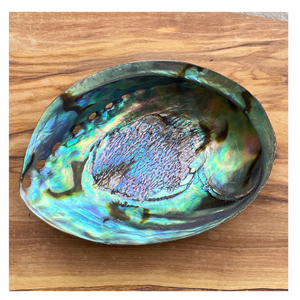 Vietnam Supplier of <b>Abalone</b> <b>Shell</b> Natural <b>Abalone</b> <b>Shell</b> Product from Sea Area of Vietnam for Export and Long Term Supply - Product Image 4