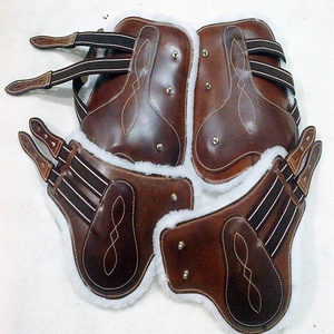 TOBILLO SINTÉTICO TENDON ECUESTRE SALTAR CABALLO BOTA CEPILLO BOTA DIAMONADOS BRILLO TOBILLO/TENDON BOTA SET - Product Image 1