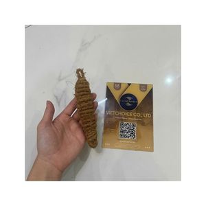 ของเล่นแครอทมะพร้าวเคี้ยวของเล่นสำหรับสัตว์เลี้ยงทำด้วยมือปลอดสารพิษจากธรรมชาติสำหรับฟันที่มีคุณภาพสูงใช้ได้ทุกวันแบบเวียดนามน่ารัก100% มีความสุข - Product Image 2