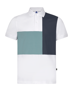 Prix d'usine Polo Homme Regular Fit Polos pour hommes de haute qualité Polo tricolore à séchage rapide Fabricant du Vietnam - Product Image 3