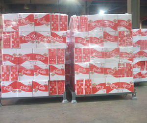 Star Brand Premium 200g Spaghetti | Wholesale Price | Egypt Dry Pasta Factory - Product Image 6