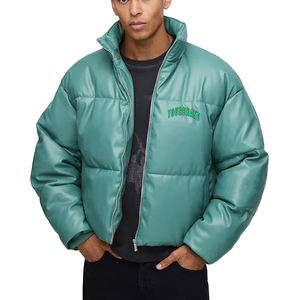 Chaqueta de Plumón de Diseñador de Moda 2026, Chaqueta de Invierno para Hombre de Alta Calidad, con Cuello Alto y Logotipo Frontal - Product Image 3