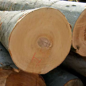 Bois de pin 4x2 pour la construction - Product Image 2