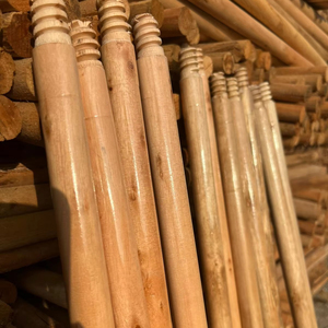 Tornillo americano de madera de eucalipto de primera calidad, ecológico, duradero, ligero, 120 cm, mango de escoba barnizado, recogedor de escoba de plástico - Product Image 1