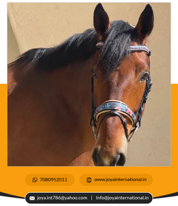 Primera edición Fleur Snaffle Bridle Brida de cuero con estampado floral Precio de fábrica limitado Producto de caballo efímero - Product Image 3