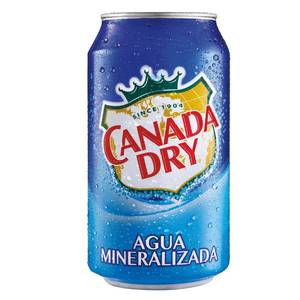 Venta al por mayor Canadá Dry Cranberry Ginger Ale 355M Premium Bebida OEM Precio de fábrica al por mayor para el mercado de exportación - Product Image 4