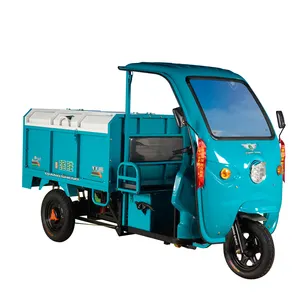 Adult 3 Wheel Electric Cargo Tricycle Enclosed Box Cheap Battery Auto Rickshaw for Cargo or Goods or Garbage From QSD EV Factory
