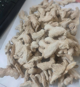 Producto agrícola fresco de Bao Tram Anh Company, raíz de jengibre seca a granel de Vietnam Supply - Product Image 1