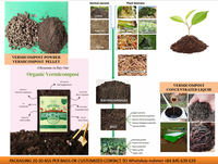 Moulages écologiques de ver de vermicompost de compost de ver de terre pour l'agriculture biologique