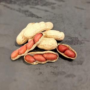 Arachides crues de qualité supérieure arachides à peau rouge arachides fraîches arachides de qualité supérieure pour le grignotage et la cuisson haute nutrition - Product Image 4