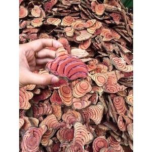 PURE CAULIS SPATHOLOBI/SOUTIEN IMMUNITAIRE/SOINS DE CIRCULATION/FORMULE PROPRE - Product Image 2