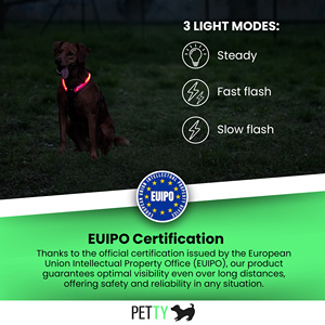 Harnais pour chien PETTY avec lumières LED lumineuses Type C Harnais réglable rechargeable Design respirant Double fermeture sécurisée 3 lumières - Product Image 5