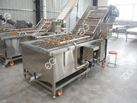 Gelgoog Auto Bramen Reinigingsapparatuur Citroenwasmachine Dragon Fruit Bessen Watermeloen Wasmachine