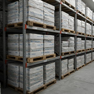 Maceruelo Congelado de Primera Calidad, Fresco, con un Equilibrio de Grasas y Proteínas, Ideal para Procesamiento de Alimentos - Product Image 4