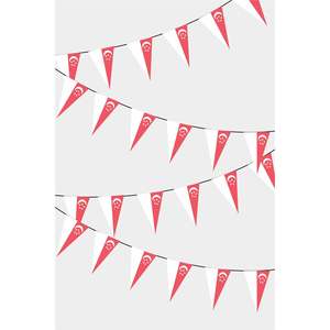 Guirnalda de Banderines Triangulares de Singapur en Yute para Cumpleaños, Día del Padre, Regreso a Clases, Graduación, Diwali, Navidad - Product Image 1