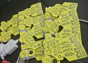 ABS PC PET PBT PA6 PA66 POM PP PE HDPE LDPE TPE TPR TPU PVC 플라스틱용 레이저 마킹 기능성 마스터배치 - Product Image 4