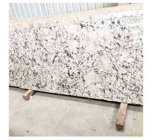 Dalles de granit blanc d'Alaska polies de la meilleure qualité d'approvisionnement direct d'usine pour les intérieurs élégants - Product Image 5