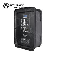 Système de sonorisation compact Accuracy Pro Audio ZS208 avec deux entrées micro, égaliseur individuel et large gamme de fréquences