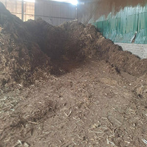 Pellets de madera de alta calidad del sistema de calefacción con forma de palo de Vietnam con un contenido de ceniza de 8-13mm de diámetro 3% más de 4500 KCal de salida de calor - Product Image 1