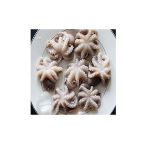 Pulpo Bebé Congelado PT Portugal Paquete de 10 kg - Almacenamiento a -18°C - Product Image 5