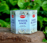 Paquete de 40 conos de incienso HEM White Sage Backflow, conos de fragancia marrón para meditación, limpieza de aura, alivio del estrés y relajación
