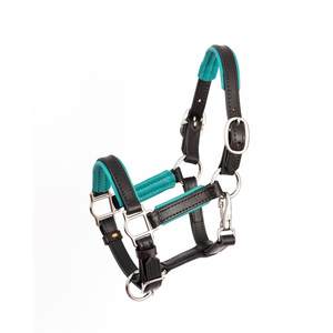 Halter de cuero acolchado Torques con costuras elegantes en la banda de la nariz y accesorios de latón macizo - Product Image 2