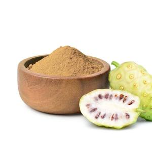 Prix le moins cher poudre de fruits secs noni plantes herbes extrait poudre produite par la meilleure usine du Vietnam - Product Image 1