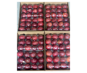 Fruit de la Passion Frais de Haute Qualité Origine Vietnam - Fruit Naturel Entier pour l'Industrie des Boissons et la Restauration - Product Image 6