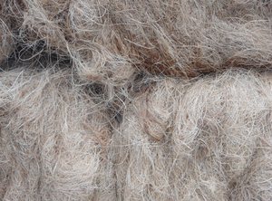 Fibra de Coco Popular para la Producción de Cuerdas y Alfombras - Product Image 3