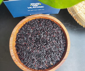 Arroz Glutinoso Negro de Primera Calidad, Grano Largo, Ideal para la Salud, Cultivado Naturalmente, 10Kg 25Kg 50Kg BOPP/PAPE/PP - Product Image 4