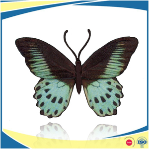 Parche personalizado de mariposa de sublimación con bordado 3D para planchar - Product Image 5