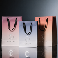 Sac cadeau en papier cartonné blanc imprimé sur mesure Allwin Packfactory avec poignée en ruban, sac de luxe pour mariage, fête, shopping