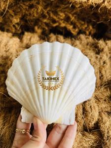 Conchas Marinas Blancas Naturales al por Mayor, Hermosas Conchas para Decoración de Vietnam - Product Image 4