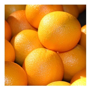 Naranjas de Miel Orgánicas de Calidad - Naranjas Frescas, Dulces y Jugosas de Portugal - Product Image 6