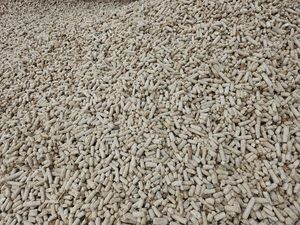 Aliment pour animaux 100% naturel, maïs séché en épi, farine de maïs, 60% d'humidité, 5% max, maïs jaune de qualité supérieure, 25 kg/sac, VN, poulet, cheval, porc, poisson, chien - Product Image 3