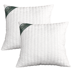 Almohadas para Cama Evergreenweb, Relleno de Fibra de Poliéster Extra Suave, Lavables a Máquina, Diseño Minimalista, Color Blanco Sólido, Hechas en Italia - Product Image 1