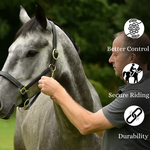 Nouvel arrivage d'accessoires de vente en gros de licou de cheval en cuir véritable - Product Image 3