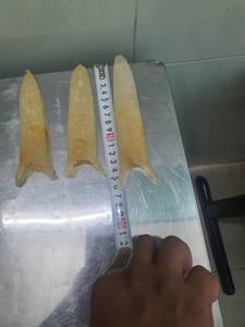 Vessie de poisson séchée du Vietnam pour soupe et ragoût, qualité d'exportation - Product Image 6