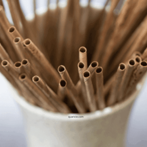 Vente chaude 100% pailles jetables de noix de coco biodégradables pour boissons chaudes/froides pour - Product Image 5