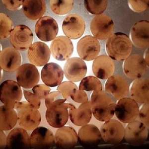 Botón de Cuerno de Búfalo al por Mayor, Forma Redonda Simple, Decoración de Cuentas, Fabricante Exportador, Precio Competitivo - Product Image 4